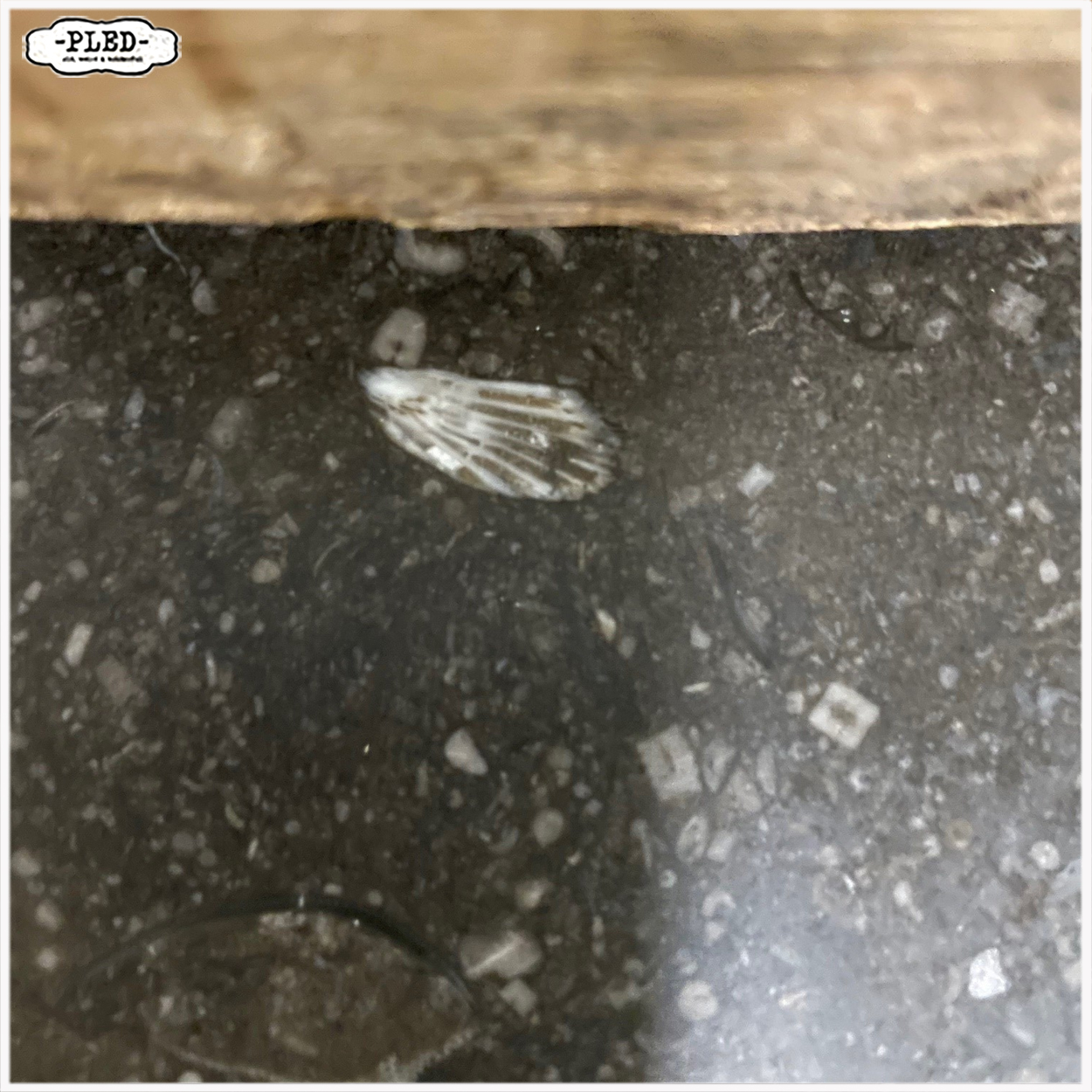 Vintage ladekast met Belgisch hardstenen blad - Afbeelding 14