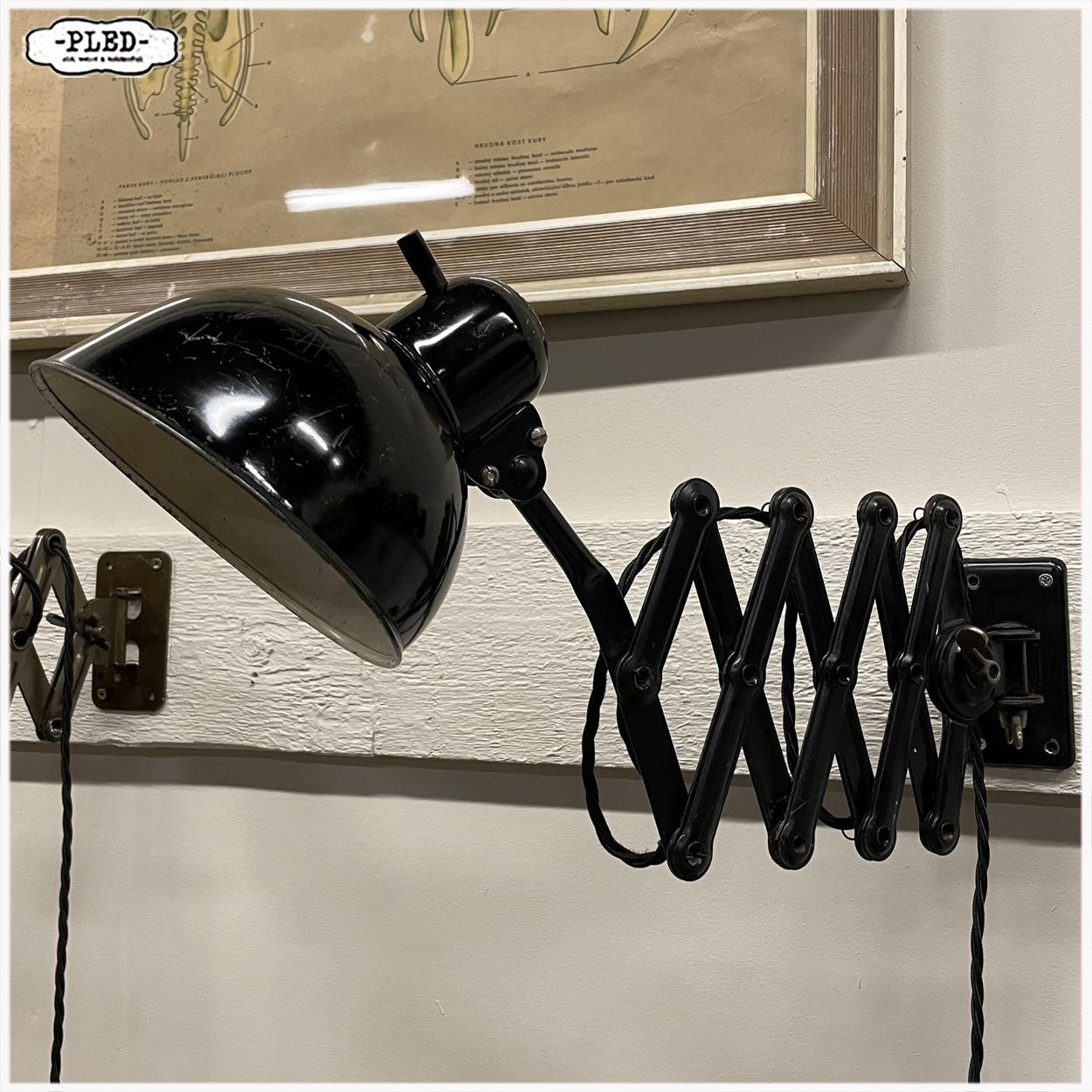 Oude, sleetse, Kaiser iDell schaarlamp, Christian Dell - Afbeelding 8