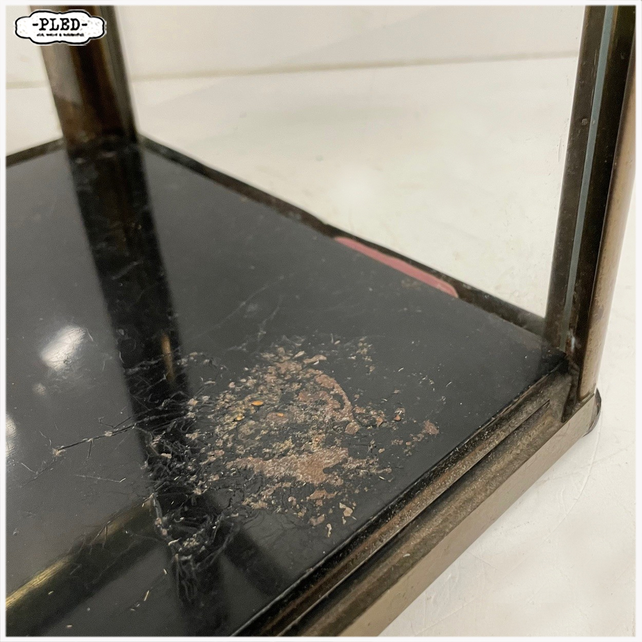 Vintage toonbankvitrine van Vox Kaffee, jaren 50 - Afbeelding 13